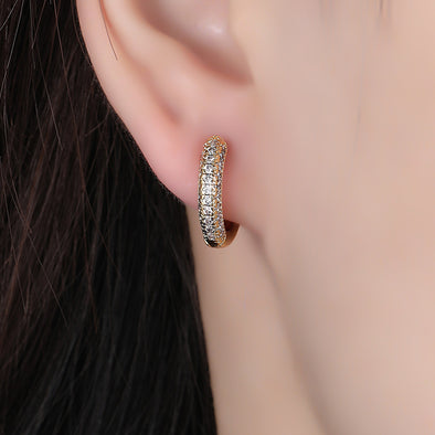 Niche High-grade Light Luxury All-matching Earrings For Summer