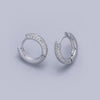 Niche High-grade Light Luxury All-matching Earrings For Summer