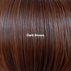 Long Straight Hair Wig Lace Medium Dark Brown Wig