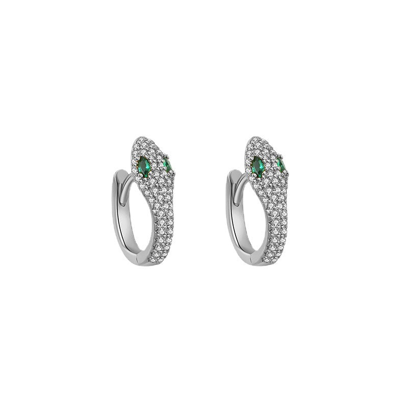 Personalized Snake Earrings Women's Retro Fashion